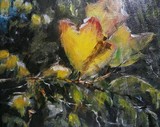 by Melissa Kucin