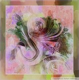 by Stefani Wehner