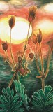 by Kirsten Neil