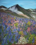 by Elizabeth Janus