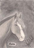 by Angelia Williams