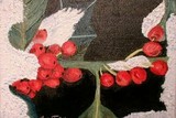 by Rachel McReynolds