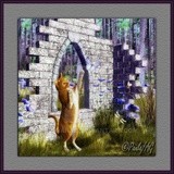 by Paula Hogan