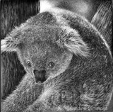 by Geraldine Simmons