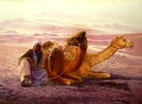 by francis kwok peng kin