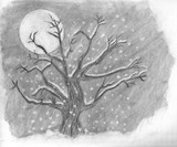 by kenia Martinez