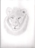 by Carol  Carron