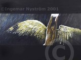 by Ingemar Nystrom