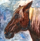 by Annie Allen