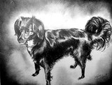 by moraima tinajero