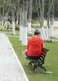 by luiz maffei