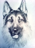 by Ruth Mellor