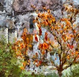 by Pavel Potocek