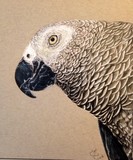 by Misty Tippens