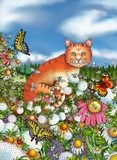 by Janelle Dimmett