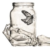 by Mercedes Victoria