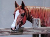 by Margie Gilligan