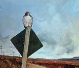 by John Killmaster