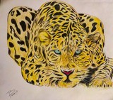 by Robert  Polley 