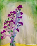 by Gabrielle Cohen