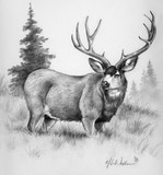 by Mike Worthen
