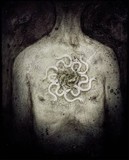 by Shawn Slowburn
