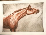 by Brittany Melan