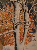 by nichole sypher
