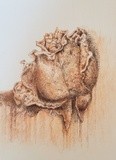 by Angella Reynolds-Screen