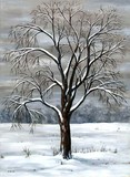 by Kathleen Brake