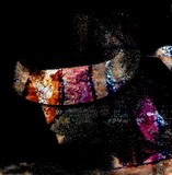 by Emilio B. Campo-Diaz