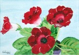 by Nancy Woolweber