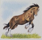 by Gillian  McMurray