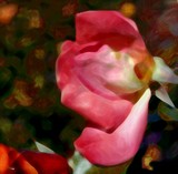 by Phillip Owen