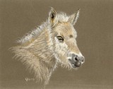 by Jennifer Redstreake