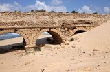 by Dr Moshe Porat