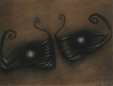by Shawn McDonald