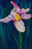 by Christy LaRoy