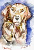 by Kemlyn Tan Bappe