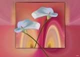 by Brenda  Starr