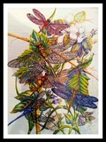 by Margaret Platt