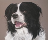 by Joanne Simpson-Connor