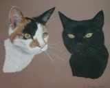 by Joanne Simpson-Connor