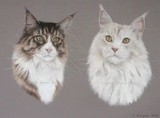 by Joanne Simpson-Connor