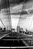 by Joseph Aprile