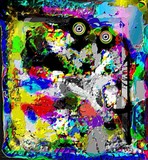 by Barry Huyett