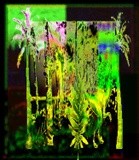 by Barry Huyett