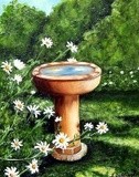 by Susan  Dehlinger