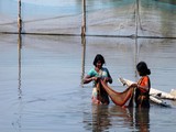 by Gopal Bhattacharjee