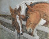 by Sheryl Boivin